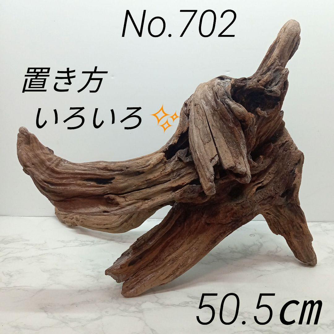 アク抜き済み流木【702】セール アク抜き済み流木【702】セール （アク抜き済み流木【702】セール）