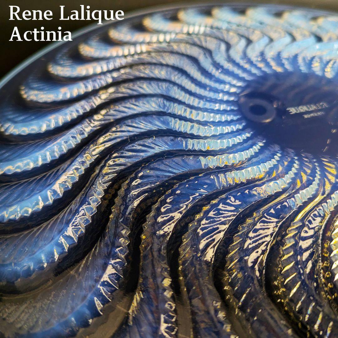 ラリック Lalique アクティニア イソギンチャク 1933年 ラリック Lalique アクティニア イソギンチャク 1933年
