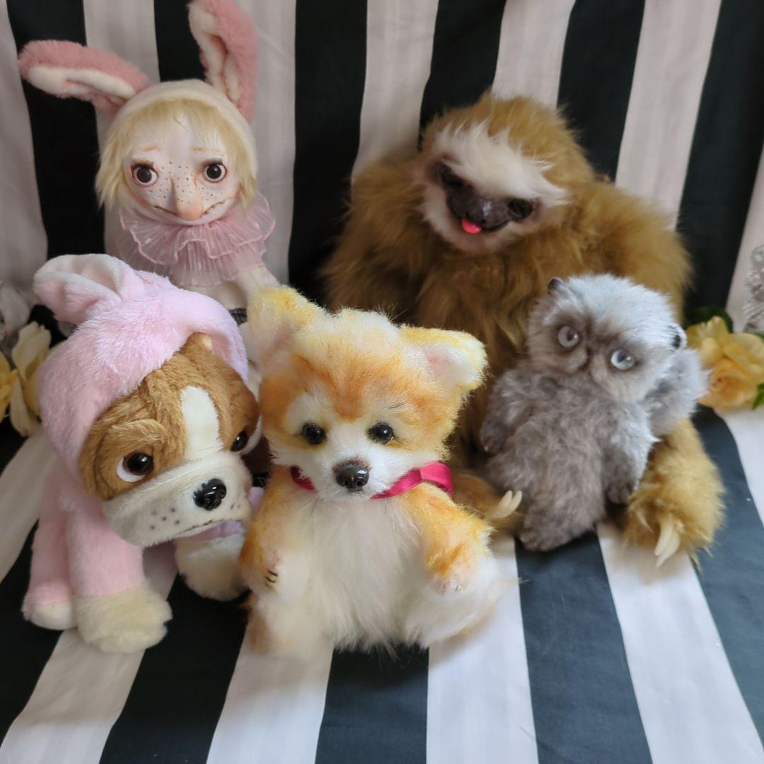 ハンドメイドのナマケモノちゃん✨アートドール アートドール 作家 ハンドメイド ナマケモノ 猫 樹脂粘土 作品