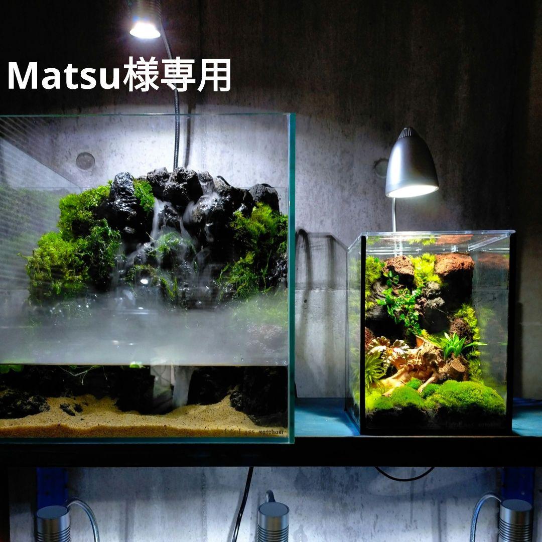 滝と霧の流れるアクアテラリウム　イモリウム　愛音 滝と霧の流れるアクアテラリウム イモリウム maki様専用 - メルカリ