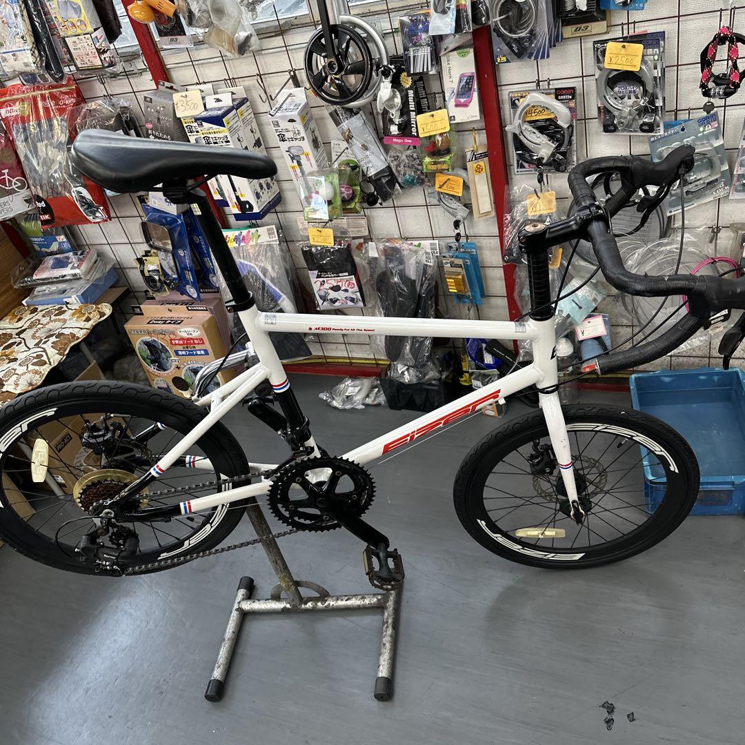 Eizer【ミニベロ】M300 20インチ