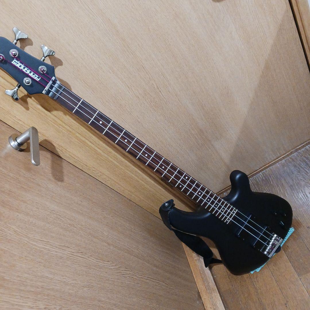フェルナンデスエレキギター＆ソフトケース＆ショルダーストラップ tejstd2s-13m.jpg