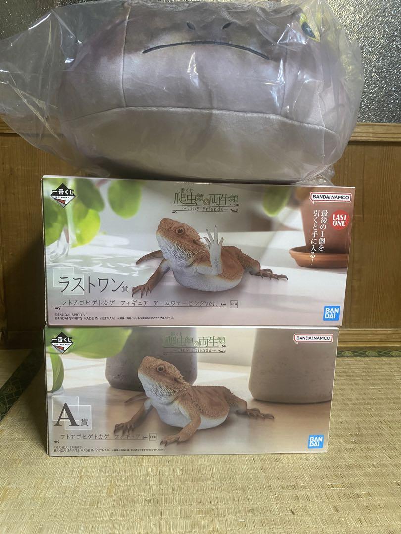 一番くじ 爬虫類＆両生類  ラストワン賞  フトアゴヒゲトカゲ 一番くじ 爬虫類＆両生類～Tiny Friends～」が再販売決定