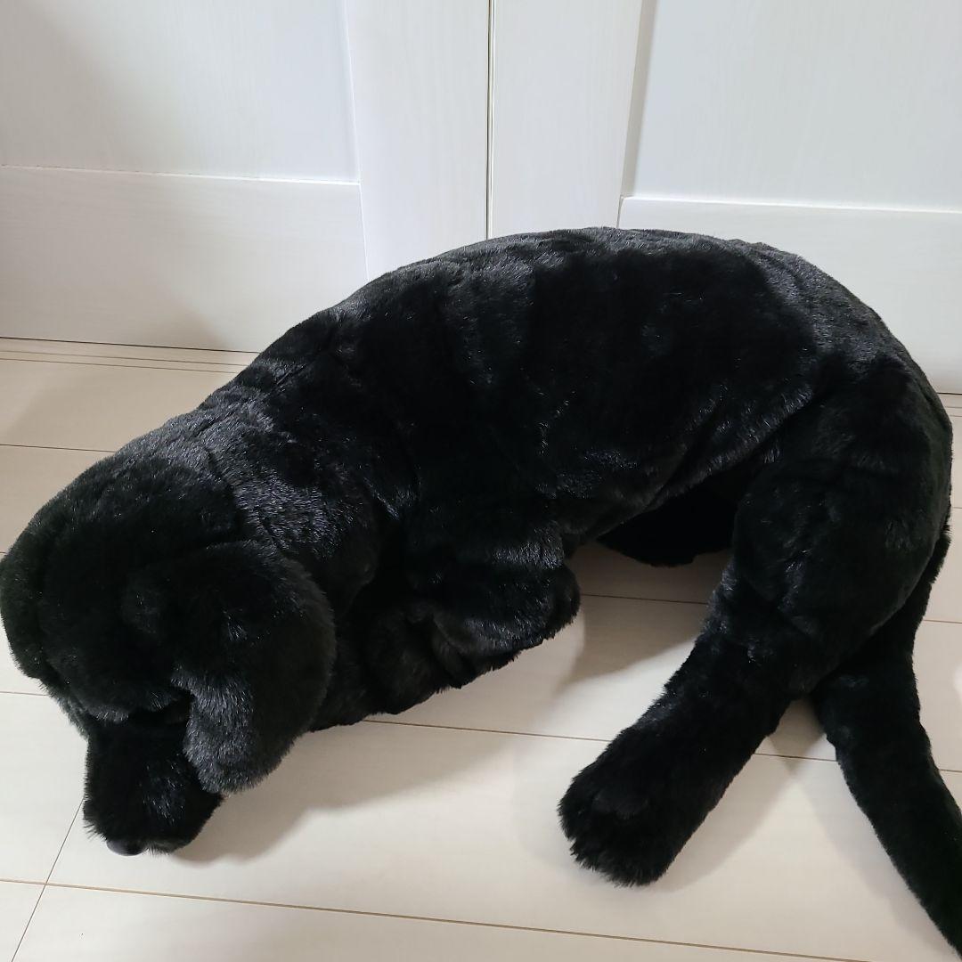 特大全長90cm等身大ワンちゃん 犬ぬいぐるみ DITZ ラブラドール