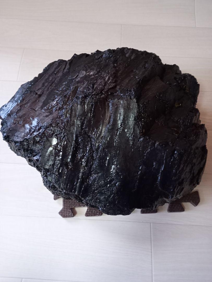 石炭と思われる石 阿仁鉱山又は花岡鉱山制 （日本から発見された