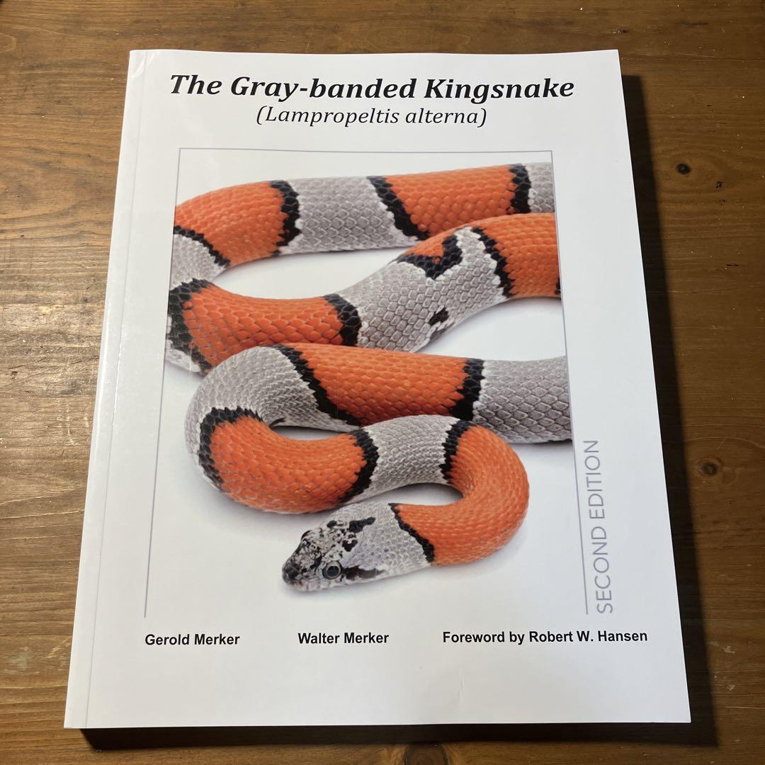 【送料無料】動物 爬虫類 両生類 ヘビ ナミヘビ キングスネーク 洋書 図鑑 ヘビ大図鑑 ナミヘビ上科、他編 | 株式会社誠文堂新光社