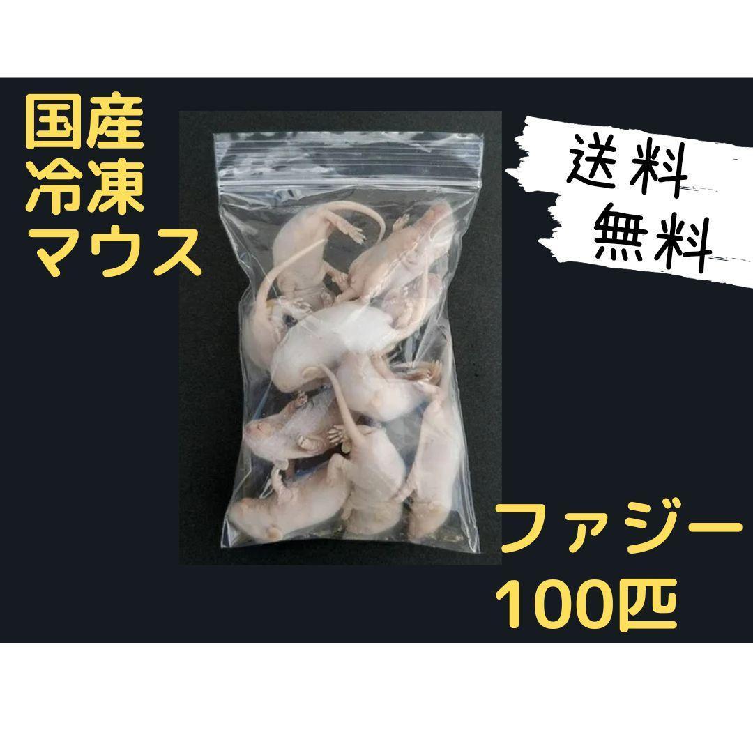 国産 冷凍マウス ファジー 100匹 (地域限定送料無料)（クール便