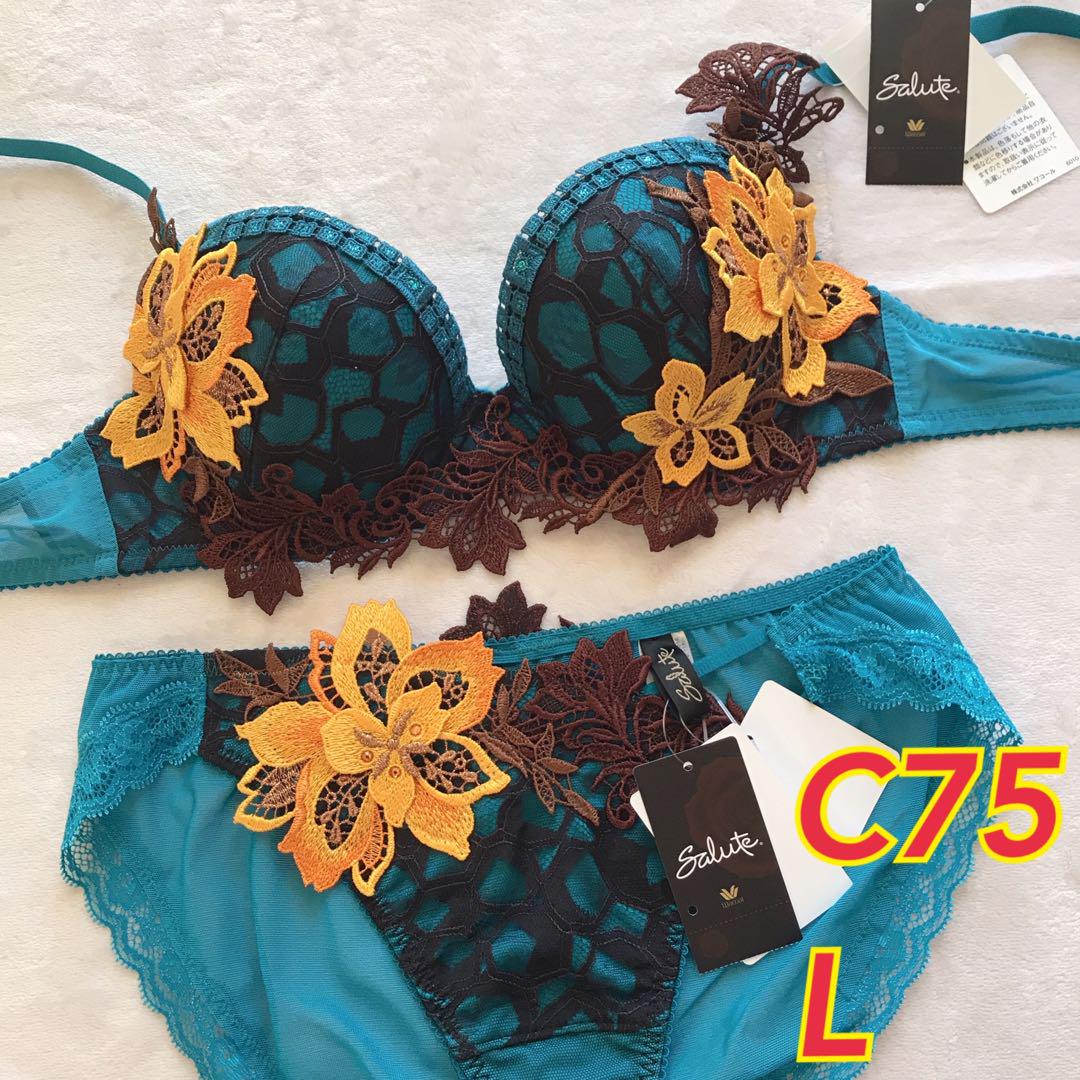 サルート✴︎ブラジャー✴︎ショーツ✴︎セット✴︎I65 ワコール サルート 44G ブラジャー ショーツ C75 L（ワコール