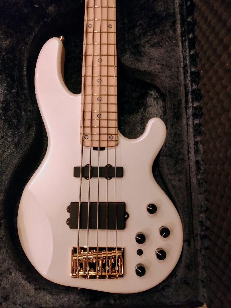 ESP ALBION tetsuya ラルク ESP CRAFT HOUSE（ESP渋谷） on X: 