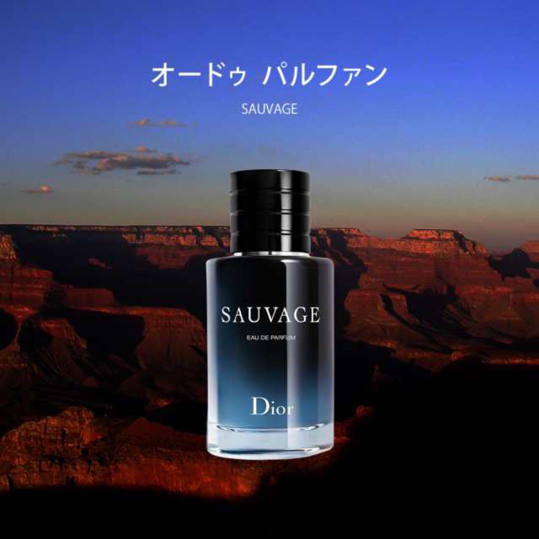 ディオール オー ソバージュ 香水 メンズ（男性ウケ抜群の