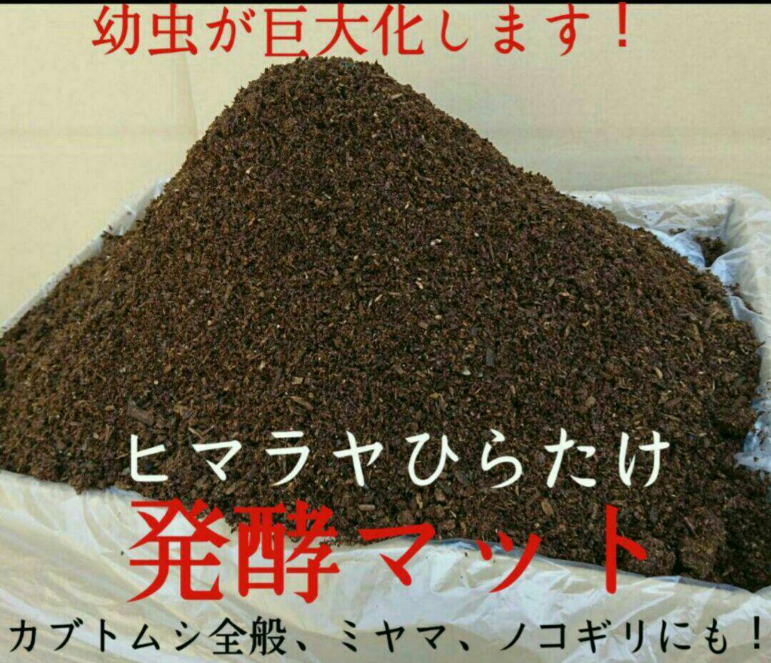 送料無料！80リットル　カブトムシ幼虫の餌！巨大化！ヒマラヤひらたけ発酵マット 送料無料！80リットル カブトムシ幼虫の餌 ヒマラヤひらたけ発酵