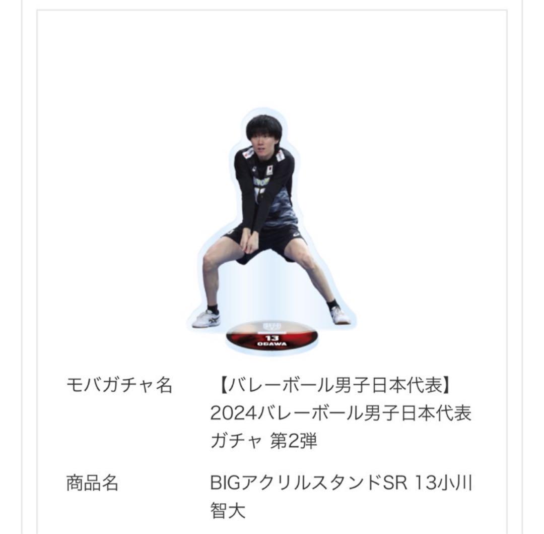 小川智大　バレーボール男子日本代表　アクリルスタンド2024 2024バレーボール男子日本代表 アクリルスタンド | JVA STORE