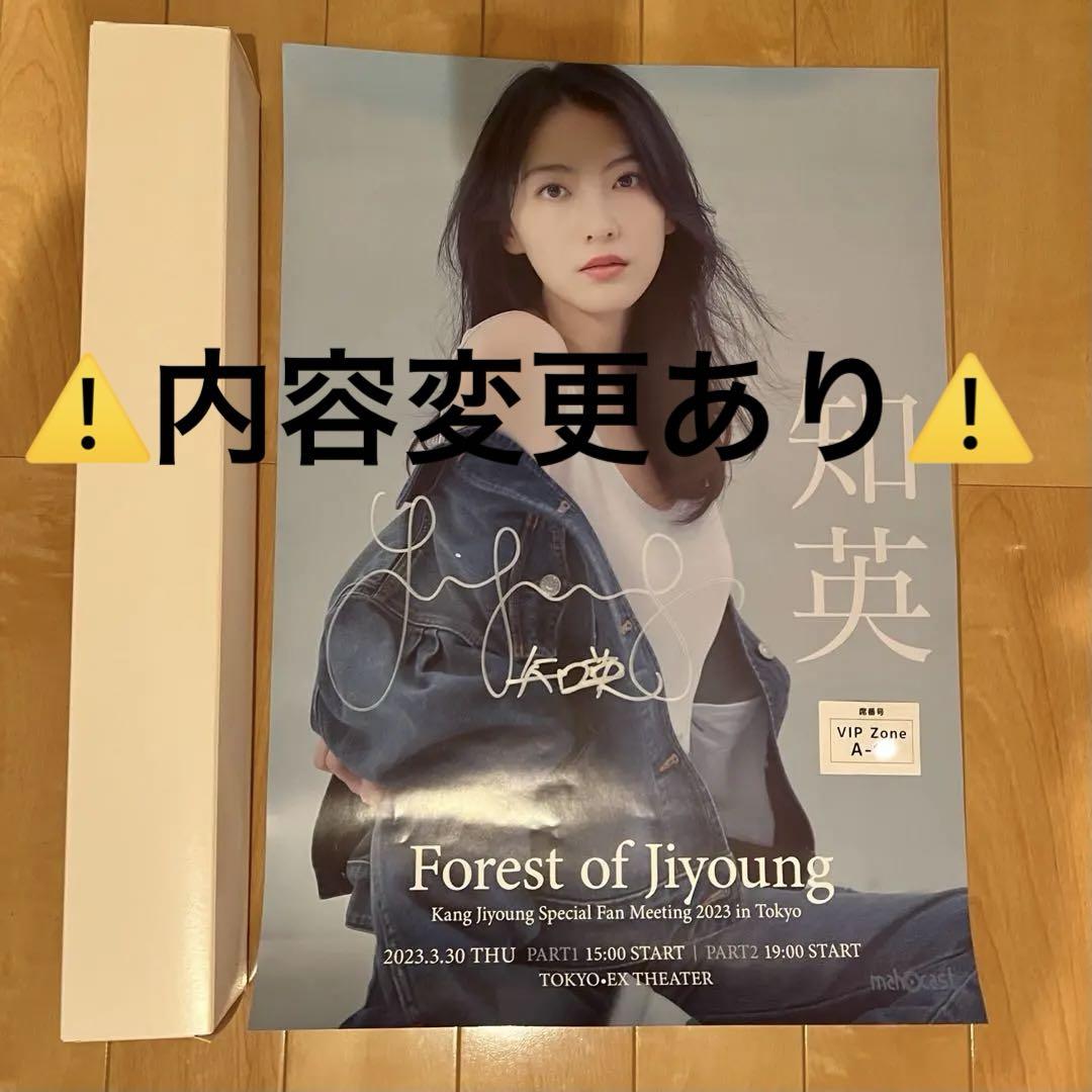 KARA ジヨン 知英 直筆サイン入りポスター（M3128 JY 知英
