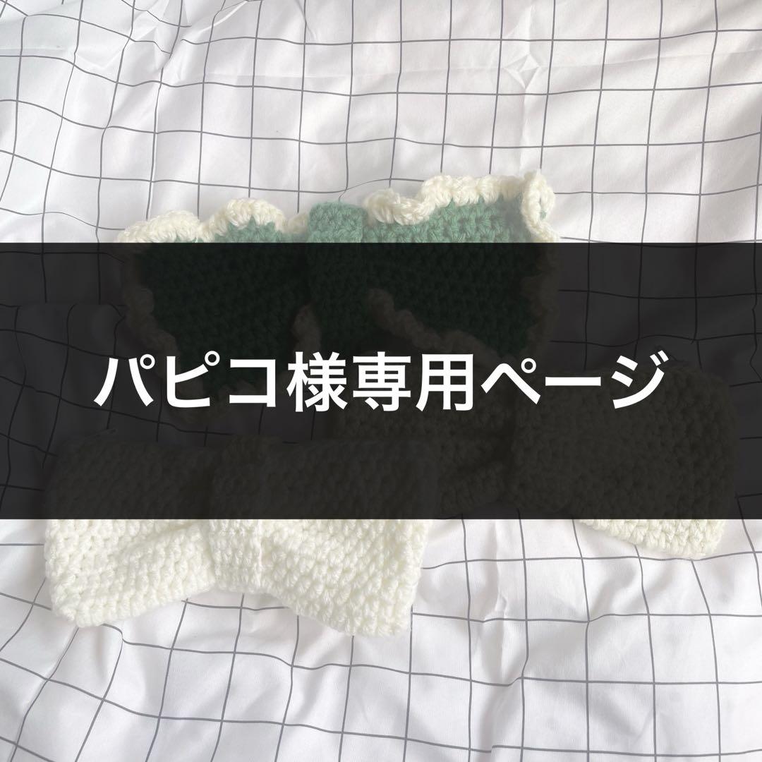 ぱぴこページ着ぐるみ3点 パピコ様専用ページ （ぱぴこ様専用ページ着ぐるみ3点