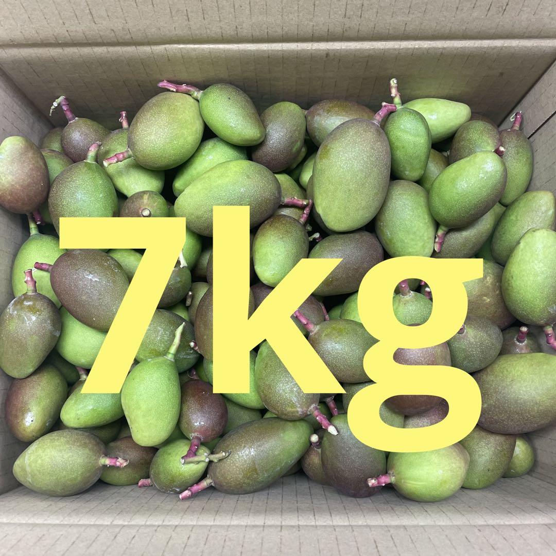 摘果マンゴー7kg （摘果マンゴー 7kg （摘果グリーンマンゴー