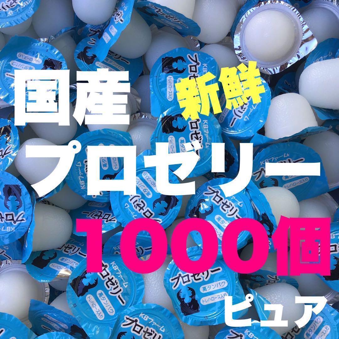 プロゼリー 1000 昆虫ゼリー クワガタ・カブトムシ・モモンガ