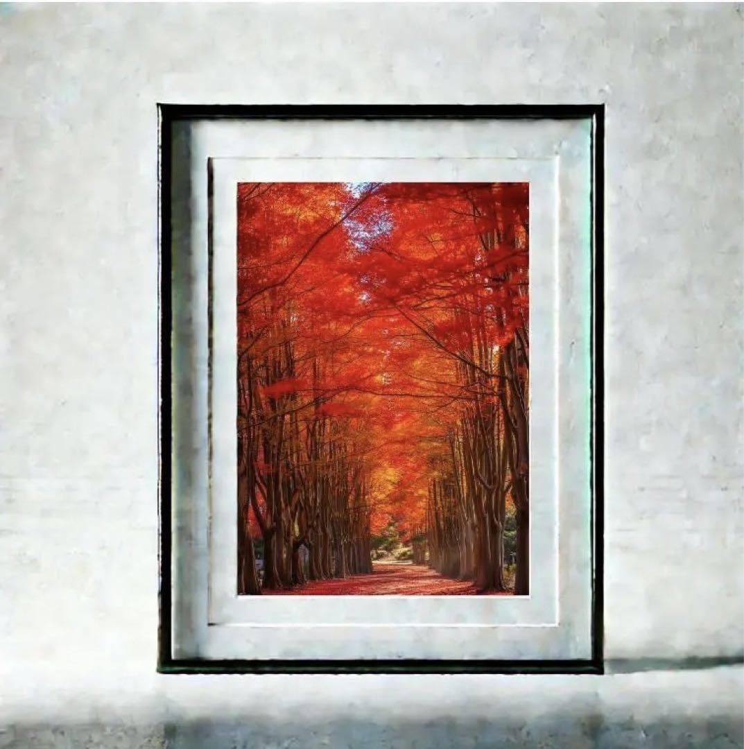 風景画 風景写真 デジタルアート 紅葉 （絵画 風景画(街並み) 秋