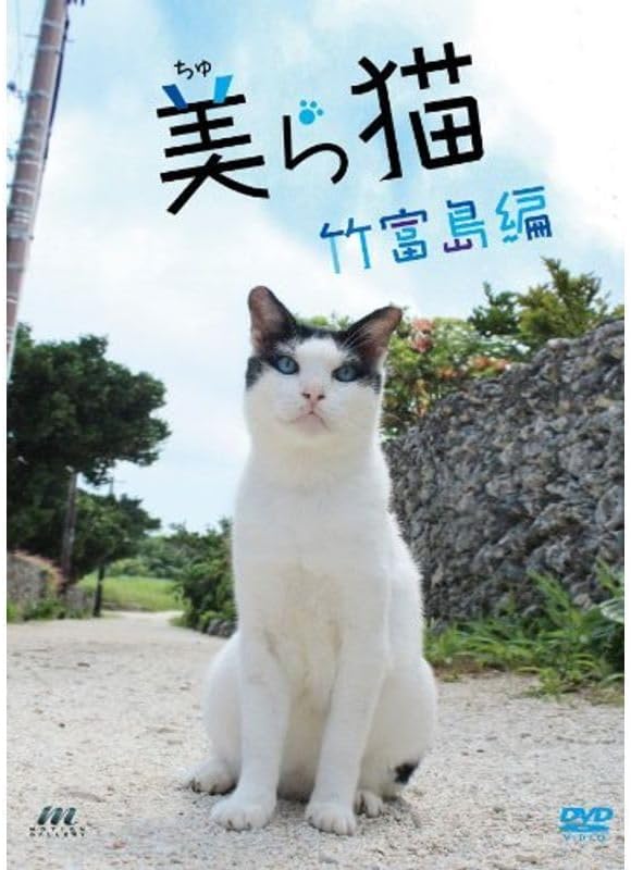 美ら猫(ちゅら猫)竹富島編 [DVD] 9jupf8b 美ら猫(ちゅら猫)竹富島編 DVD （美ら猫 竹富島編 中古DVD