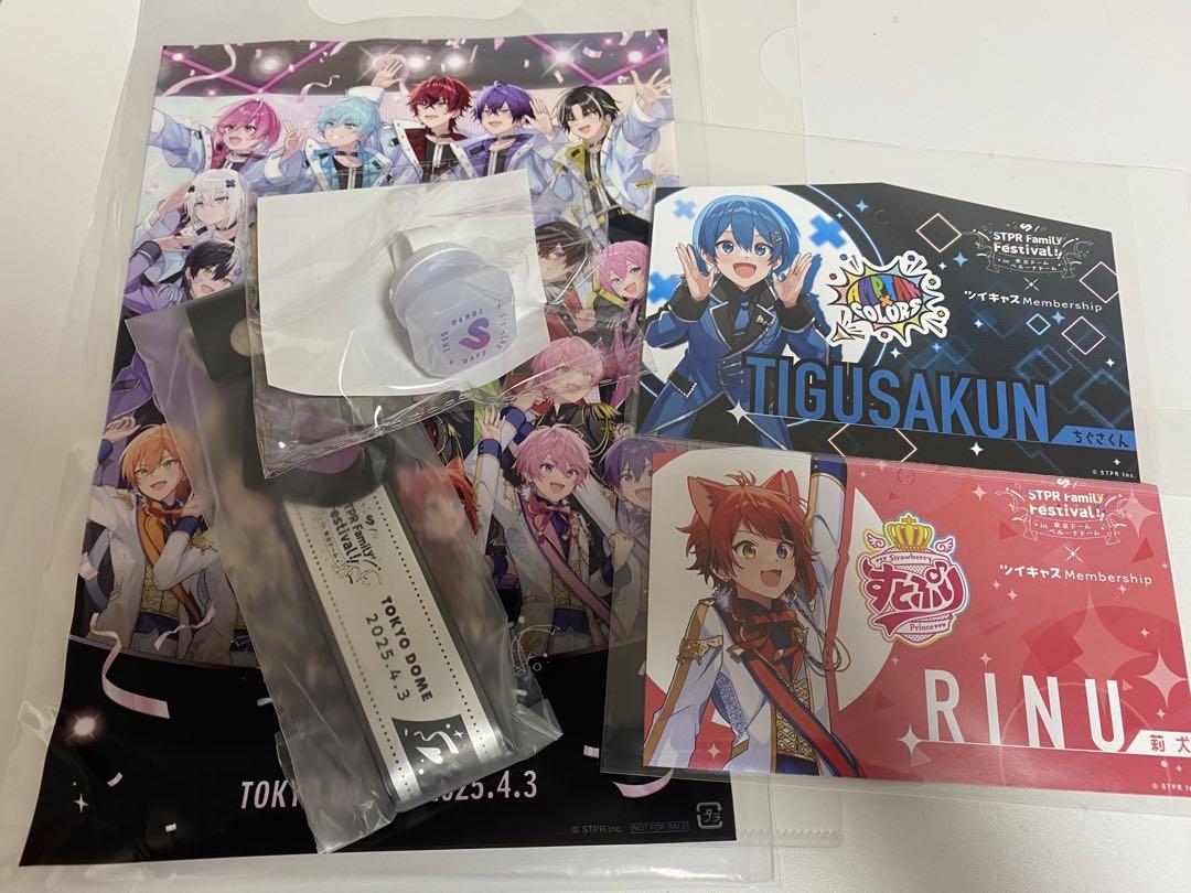STPR Family Festival!! 2日間通しチケット東京ドーム特典（STPR