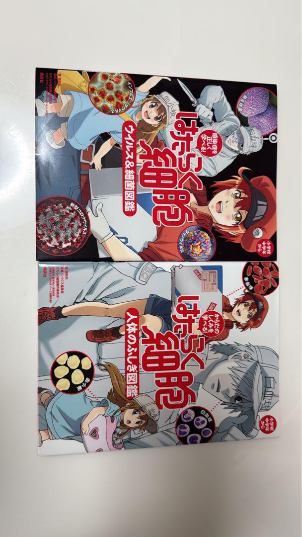 はたらく細胞シリーズセット　37冊　漫画 Amazon.co.jp: 漫画 はたらく細胞 全巻セット シュリンク付き