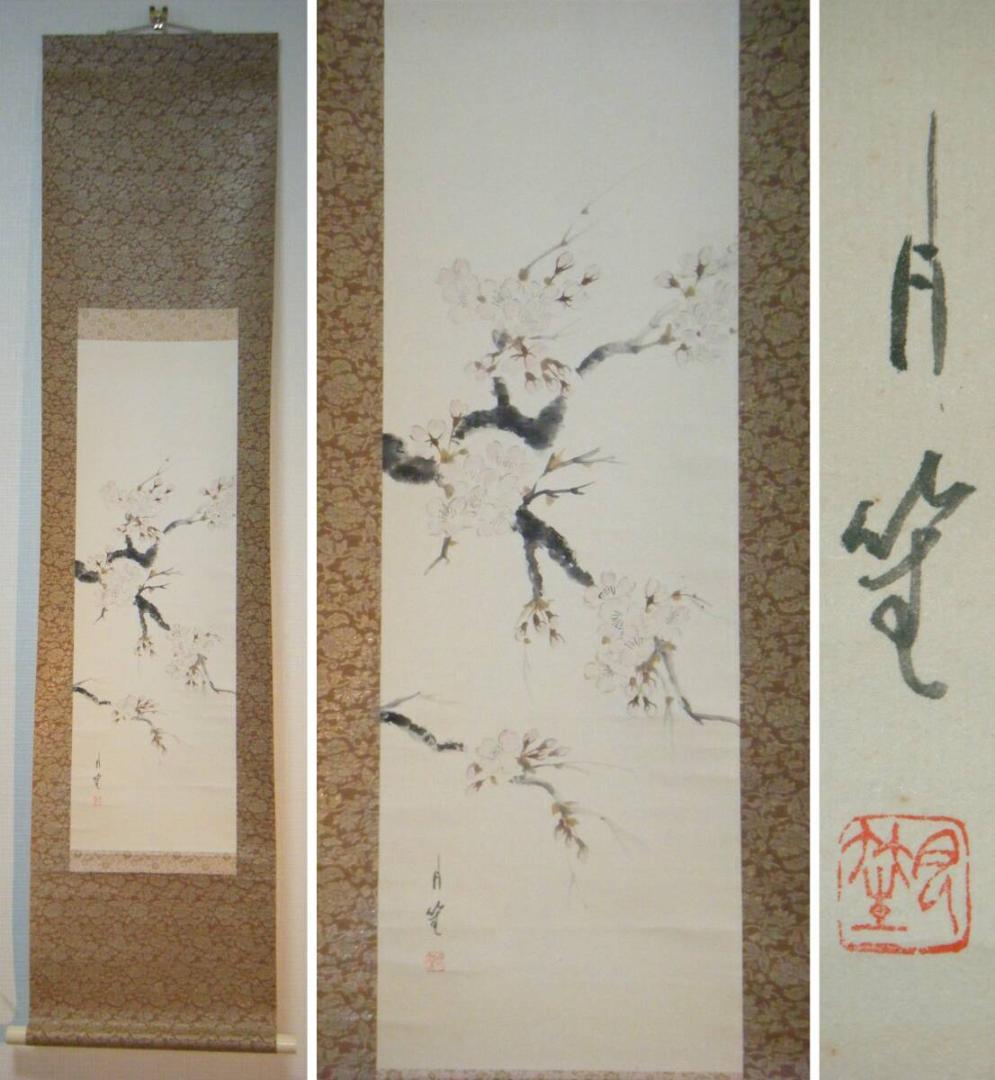 真作】掛軸 桜之図 逸品 O72 （アート花見】時空を超えた美の