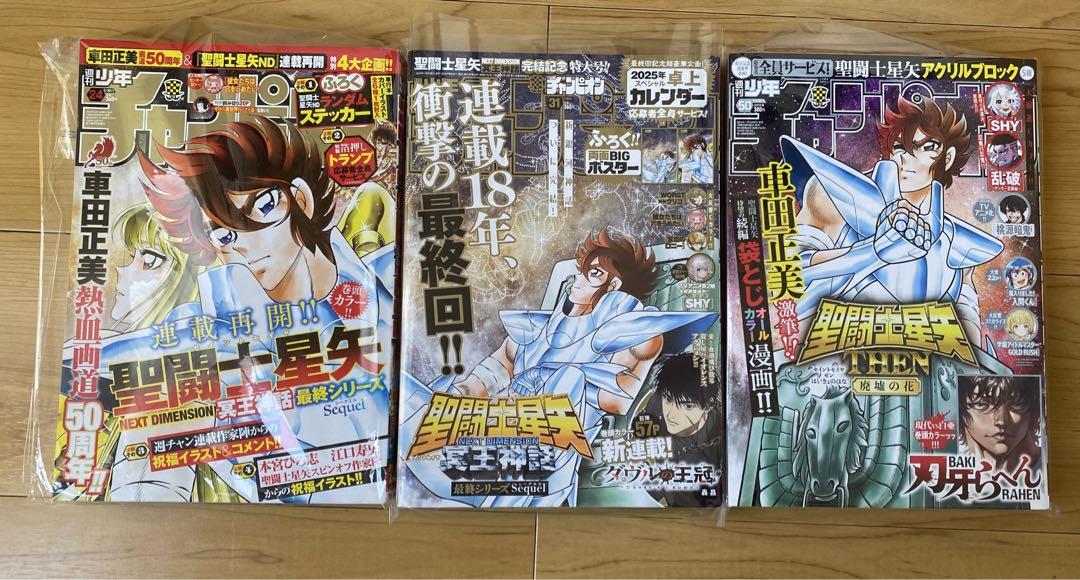 聖闘士星矢 2024年 週刊少年チャンピオン24・31・50号 セット2