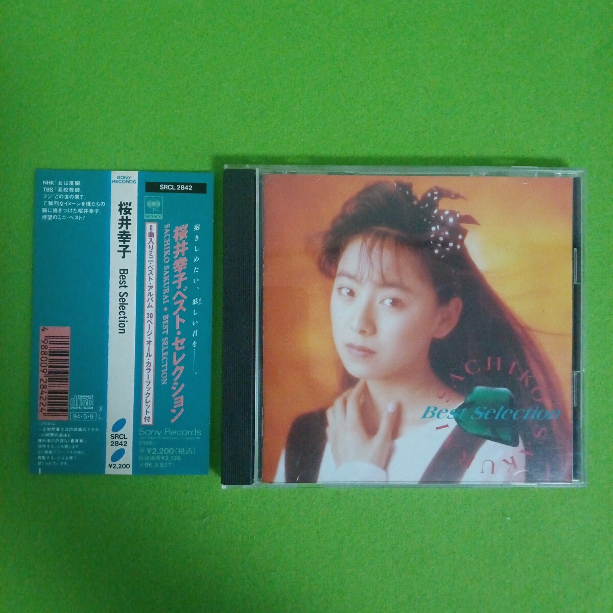 桜井幸子、【櫻富士（2）】、希少な額装用画集より、美品、新品額装付 桜井幸子、【櫻富士（2）】、希少な額装用画集より、美品、新品