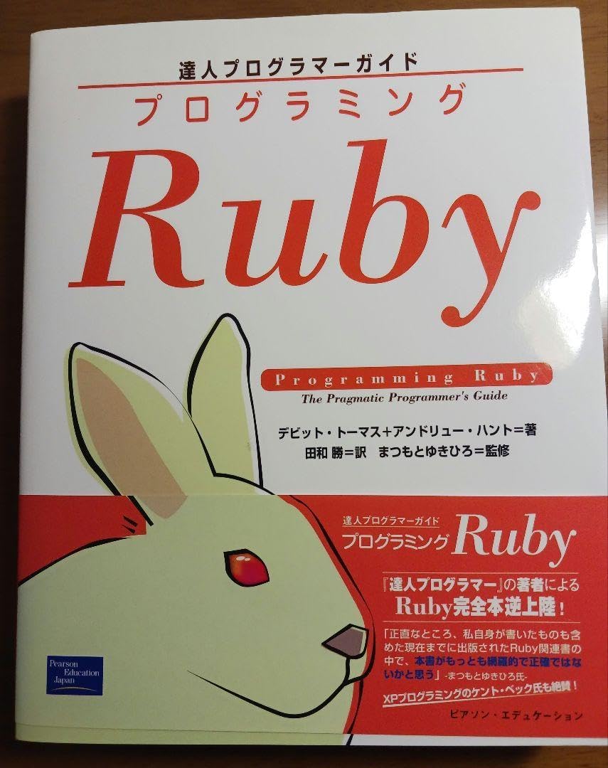 絶版 達人プログラマーガイド プログラミング Ruby ピアソン