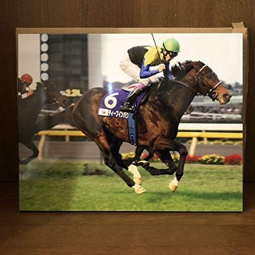 競馬】競走馬ディープインパクト ジャパンカップ制覇記念 盛ろ
