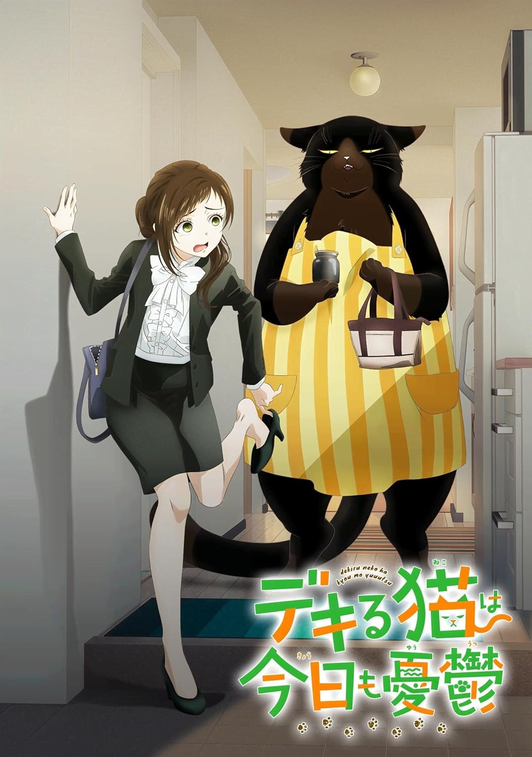デキる猫は今日も憂鬱 全13話 全卷 デキる猫は今日も憂鬱 全13話 完全版（ボックス入り）,DVD