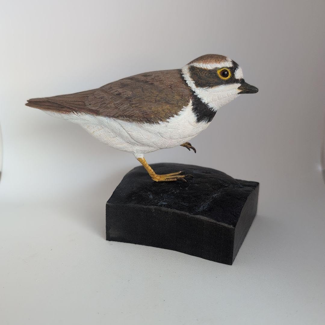 コチドリ　木彫りの野鳥　バードカービング　野鳥彫刻 チョウゲンボウ 木彫りの野鳥 野鳥彫刻 リアルバードカービング