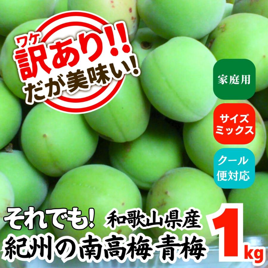 先行予約】 南高梅 青梅 訳あり 1kg サイズミックス 和歌山県産