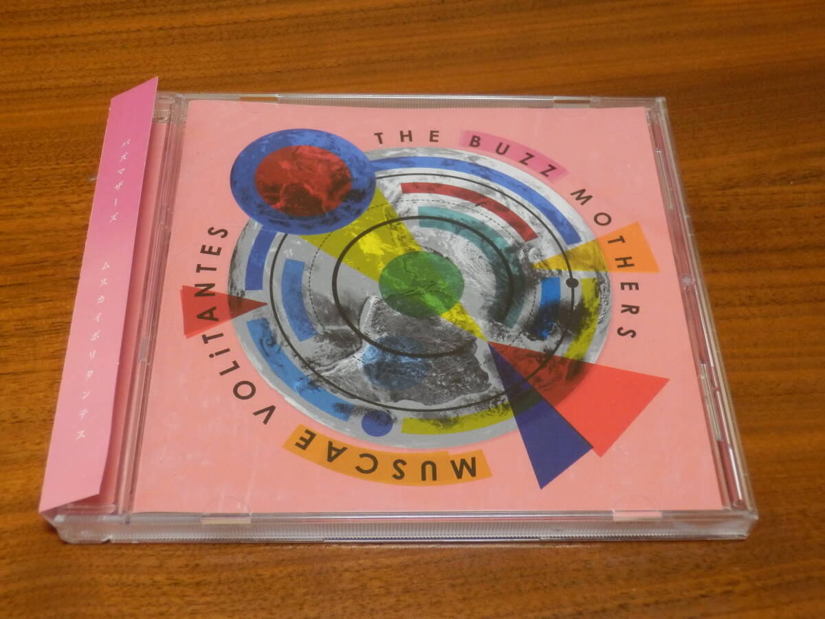 バズマザーズ 山田亮一 廃盤レアCD スクールカースト インディーズ バズマザーズ 山田亮一 廃盤CD スクールカースト インディーズ