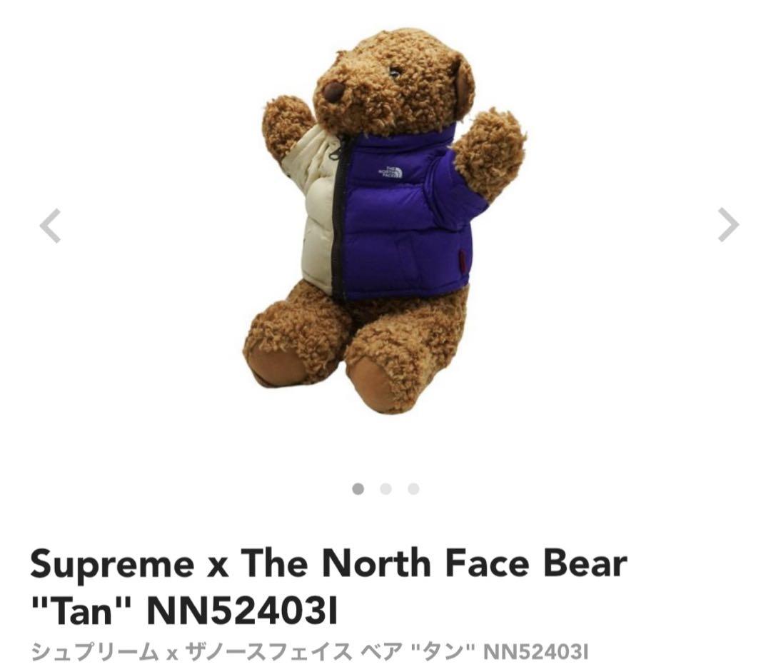 Supreme x The 匂っ North Face Bear 