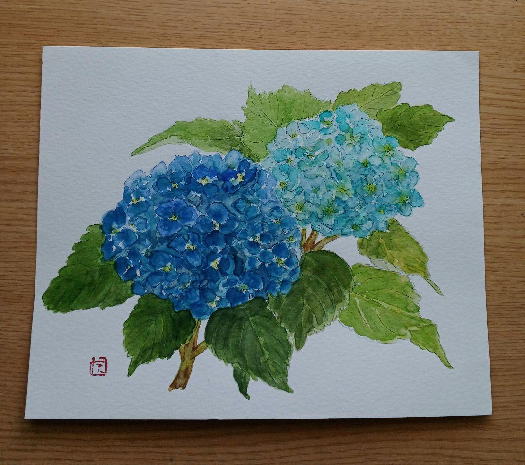 新作未発表のF１０号 紫陽花保田三友紀の水彩画、木製新品額縁付き大幅値下げ 紫陽花 額縁付き #アジサイの絵#あじさい#プレゼント#額縁付き