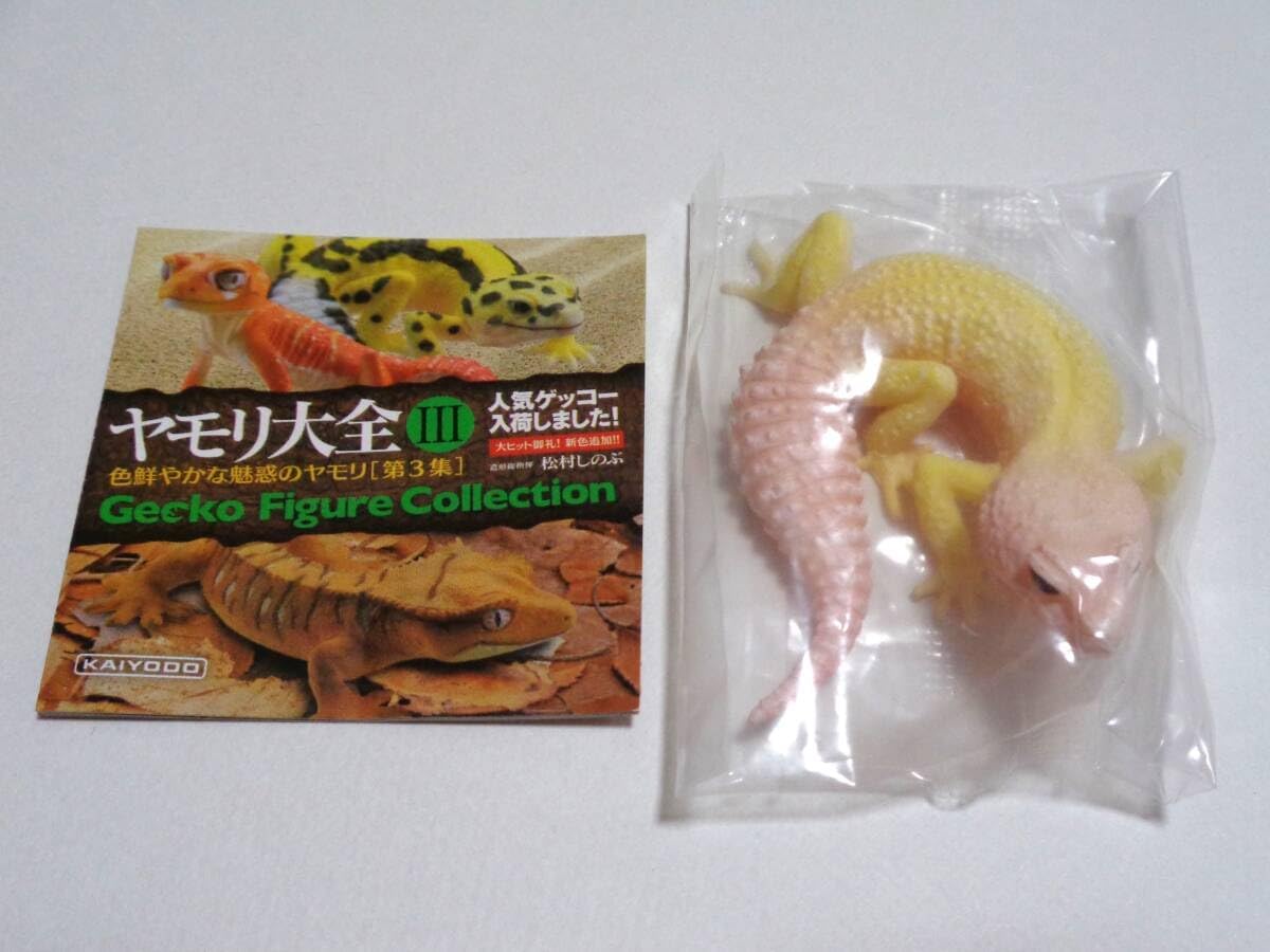 ヒョウモントカゲモドキ（ブリザード） ヤモリ大全 ヒョウモントカゲモドキ（ブリザード） ヤモリ大全