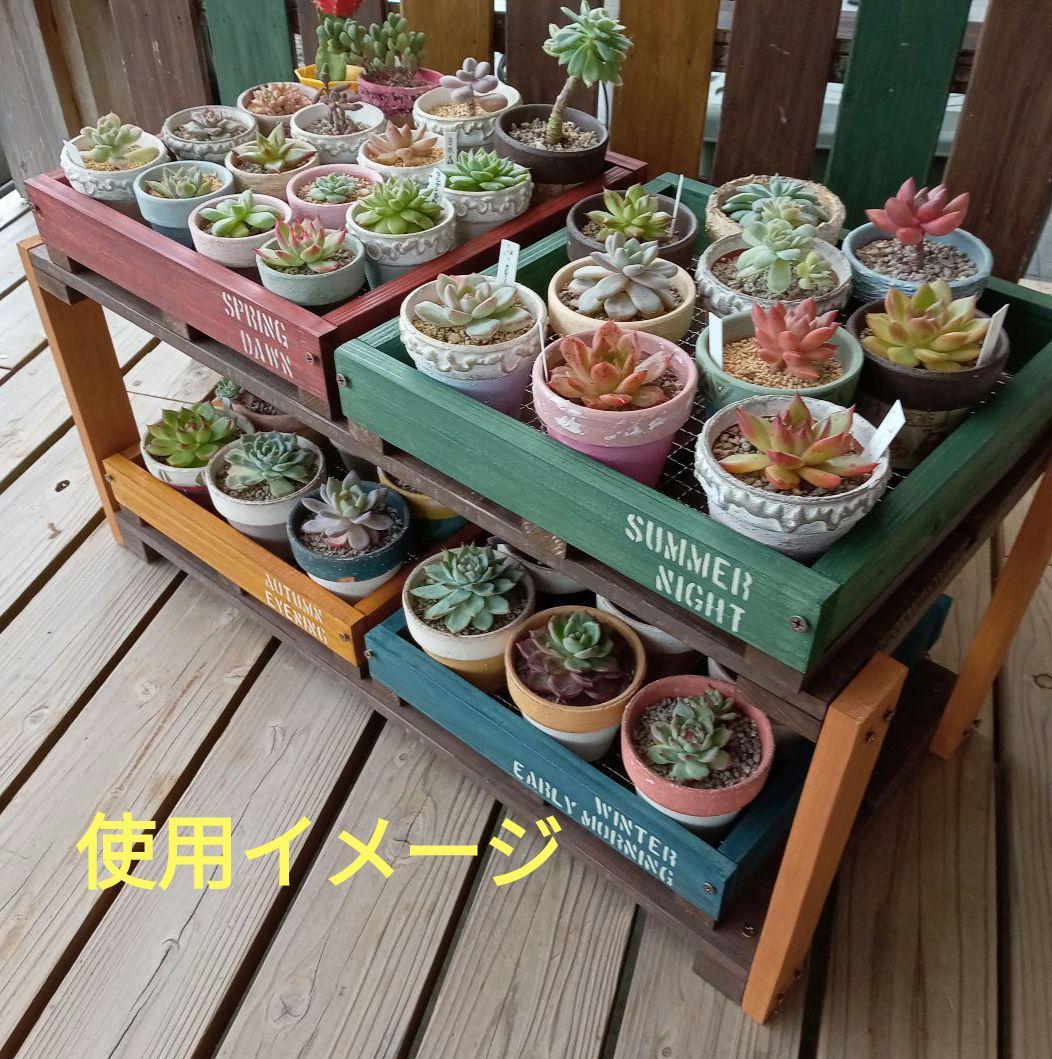 TS4 多肉棚二段 木製トレー 多肉植物 ウッドプランター