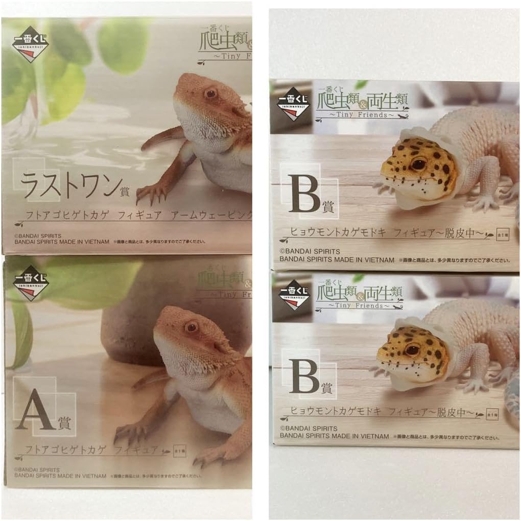 爬虫類 一番くじ フトアゴヒゲトカゲ ヒョウモントカゲモドキ