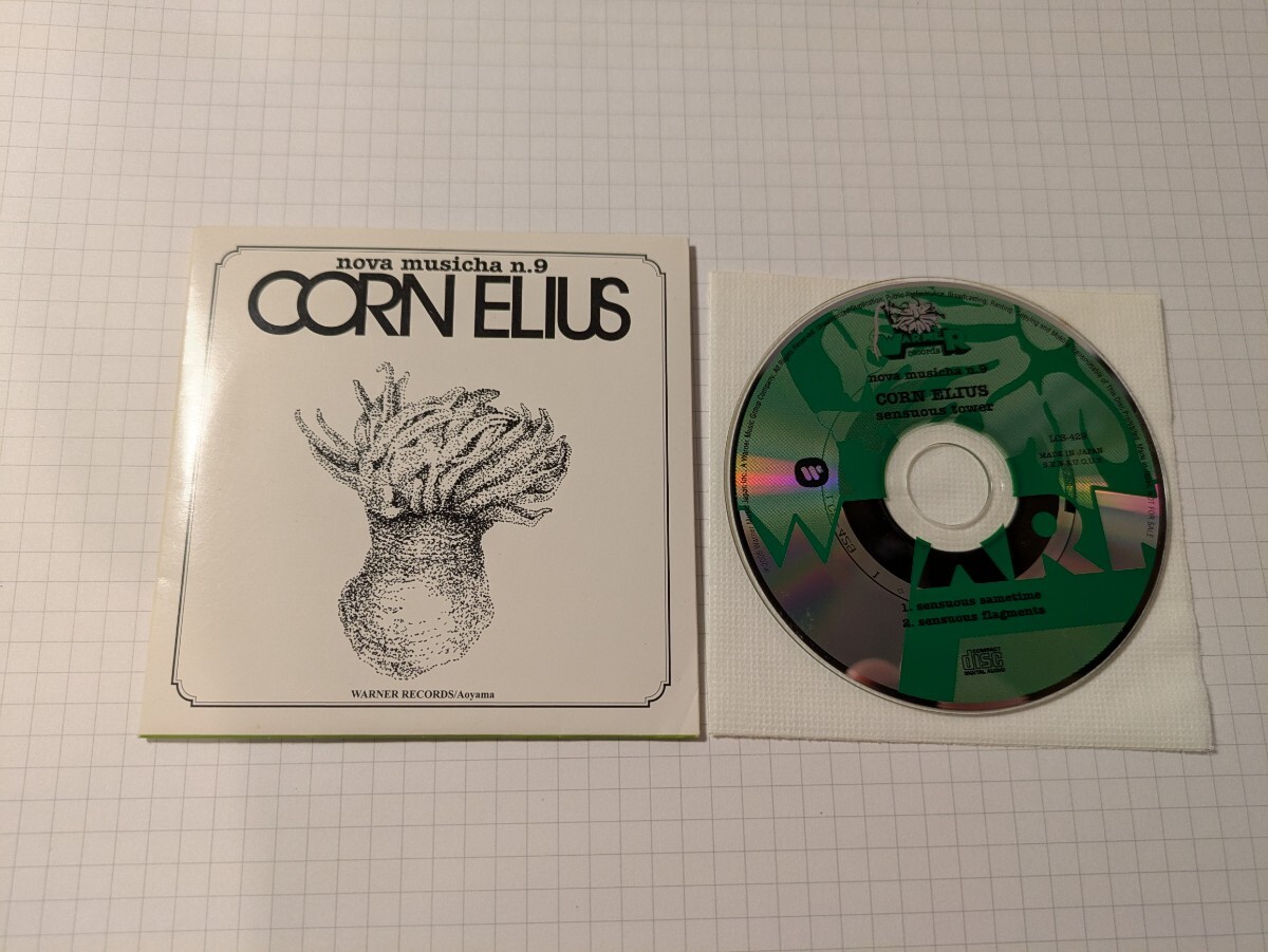 フリッパーズ・ギター　小山田圭吾　直筆サイン色紙 コーネリアス cornelius 小山田圭吾 nova musicha n.9