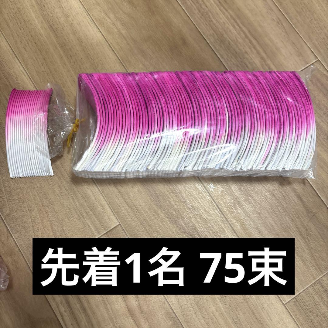 先着1名!ハスの花紙(ハスワー、お盆、蓮ランタン、ハスワー、蓮