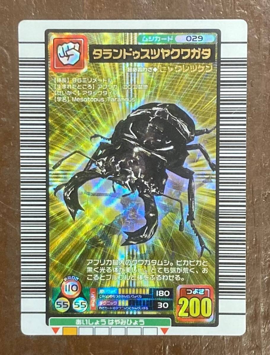 甲虫王者ムシキング ムシカード029 タランドゥスツヤクワガタ