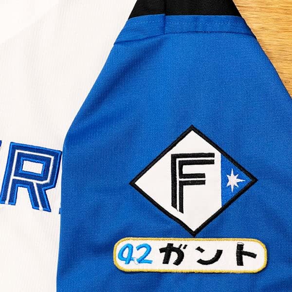日ハムファイターズ刺繍ワッペンセット 楽天市場】納期注意【日本ハム ファイターズ 刺繍ワッペン 5点