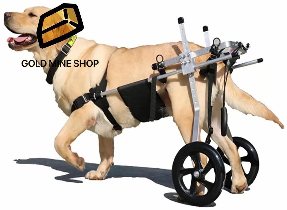 プリンママページ■中型犬用4輪　犬の車椅子　犬の歩行器　+オプション 4輪の犬用車椅子・歩行器のおすすめ人気ランキング【2025年