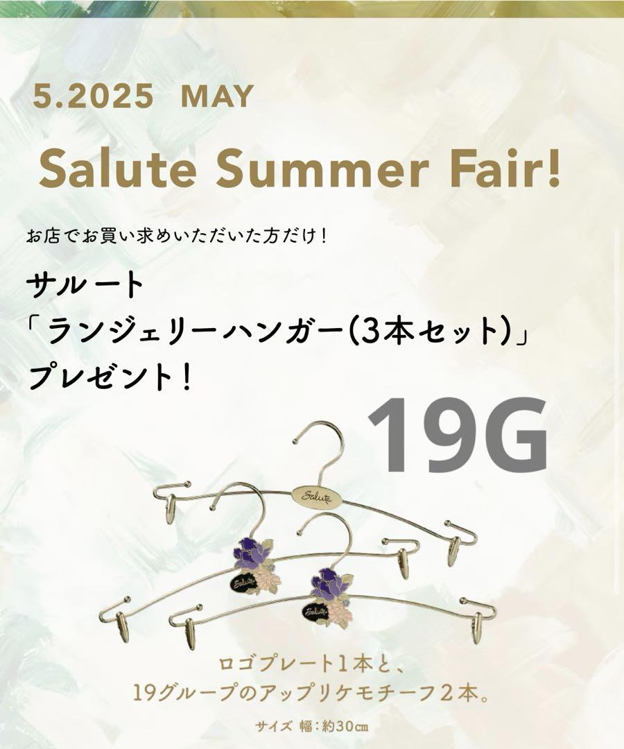 人気カラーの ワコール/サルート 新品 非売品ハンガー 19グループ（Wacoal その他