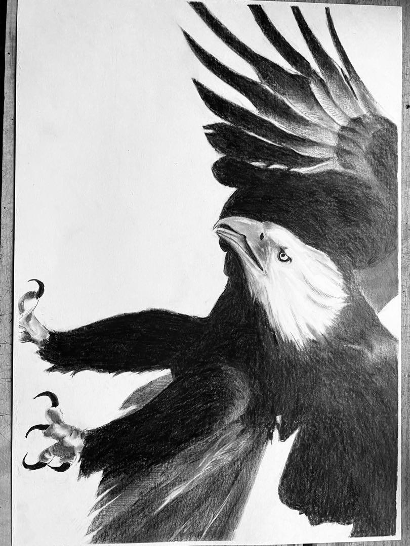 鷲の鉛筆画 A3 モノクロ （現代水墨画家☆絵師白道 「デビル