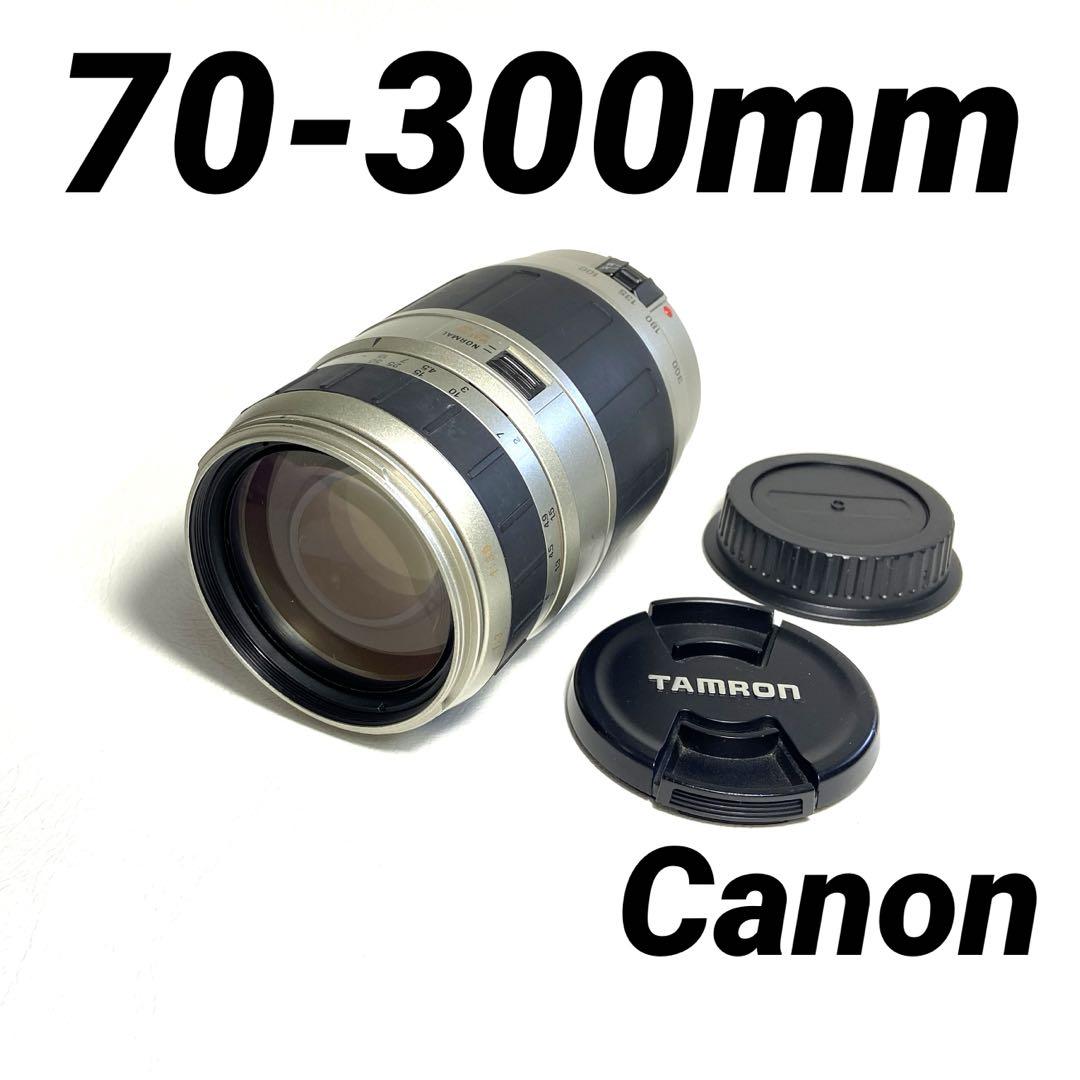 キヤノン用70-300mm望遠レンズ◆キヤノン◆EOS Kiss◆EF キヤノン用70-300mm望遠レンズ◇キヤノン◇EOS Kiss◇EF （canon