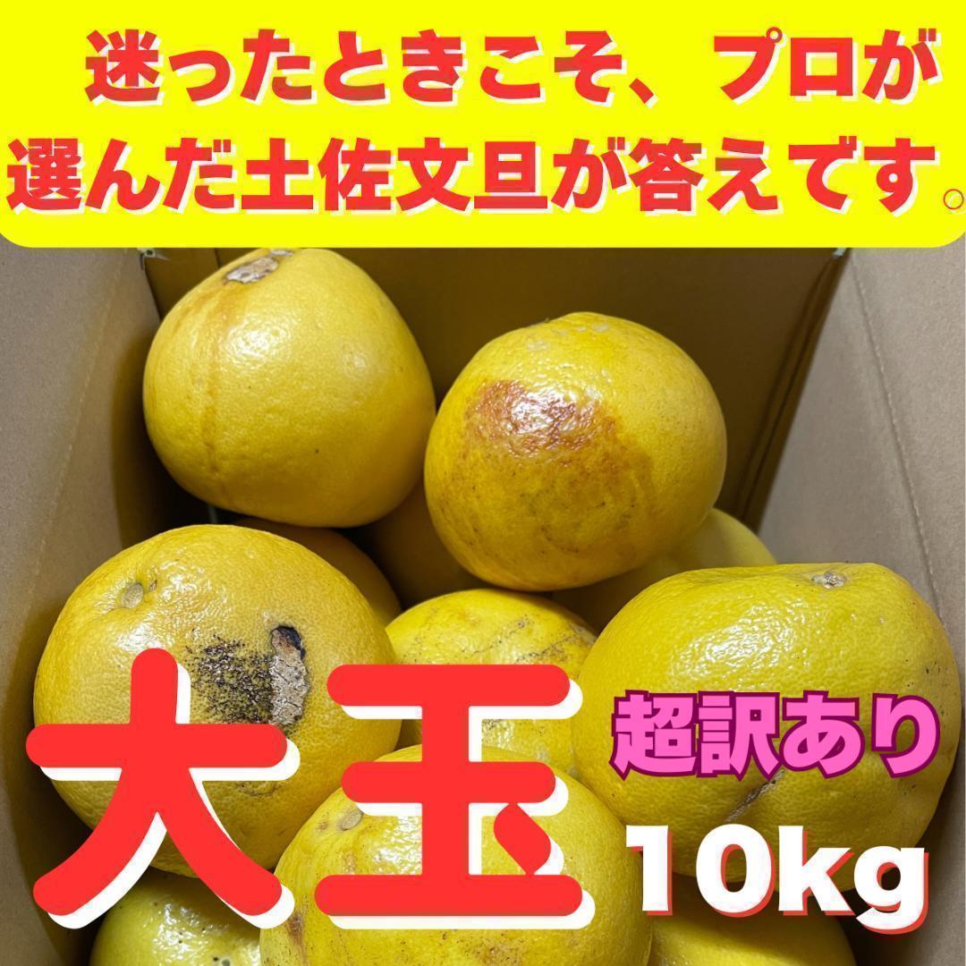 超訳あり：大玉ジャンボ土佐文旦 超訳あり：大玉ジャンボ土佐文旦 - Fruitアウトレット ショップ