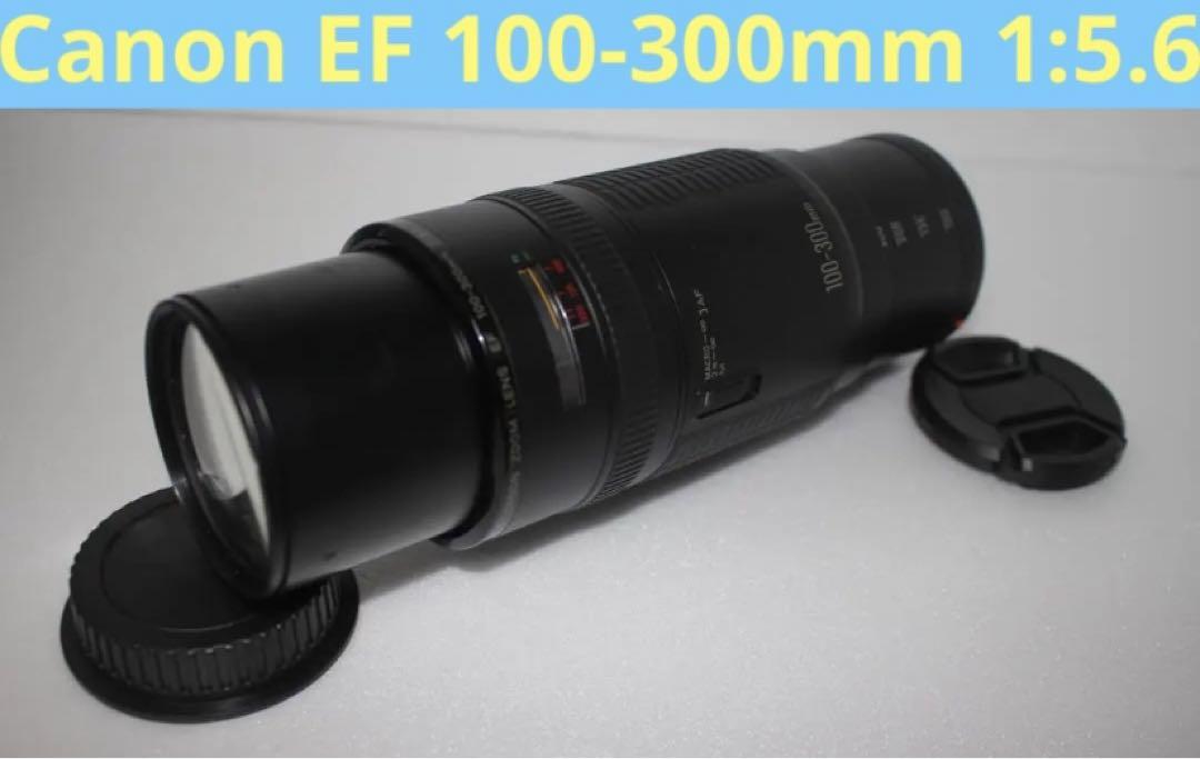 迫力300㎜☆超望遠レンズ☆キャノン Canon EF100-300