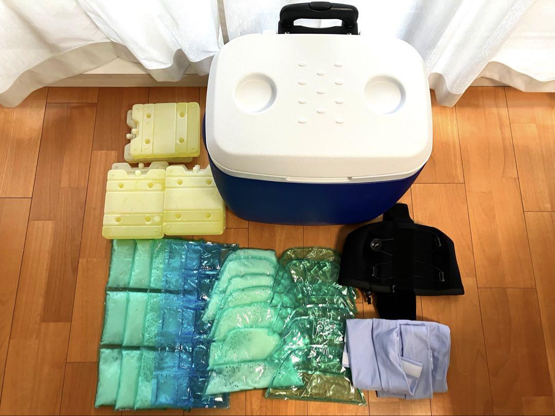 頭部冷却用帽子　愛帽　アイスジャパン　（3時間分) 頭部冷却用帽子 愛帽 アイスジャパン （3時間分) （【保冷剤