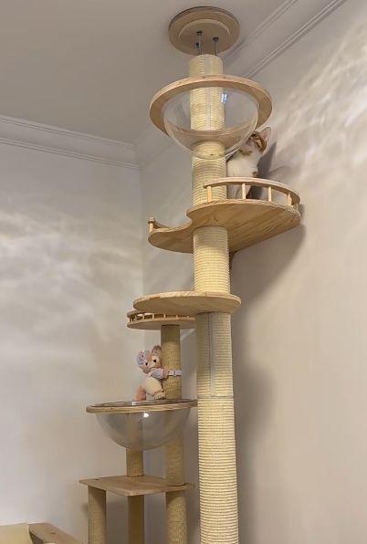 【最終値下】木製多層キャットタワー 透明ボウル付き 売れ筋がひ！ 木製多層キャットタワー 透明ボウル付き 木製